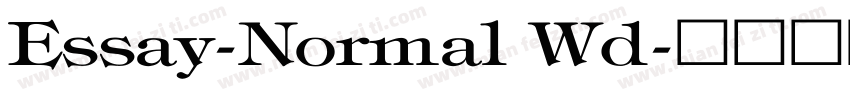 Essay-Normal Wd字体转换
